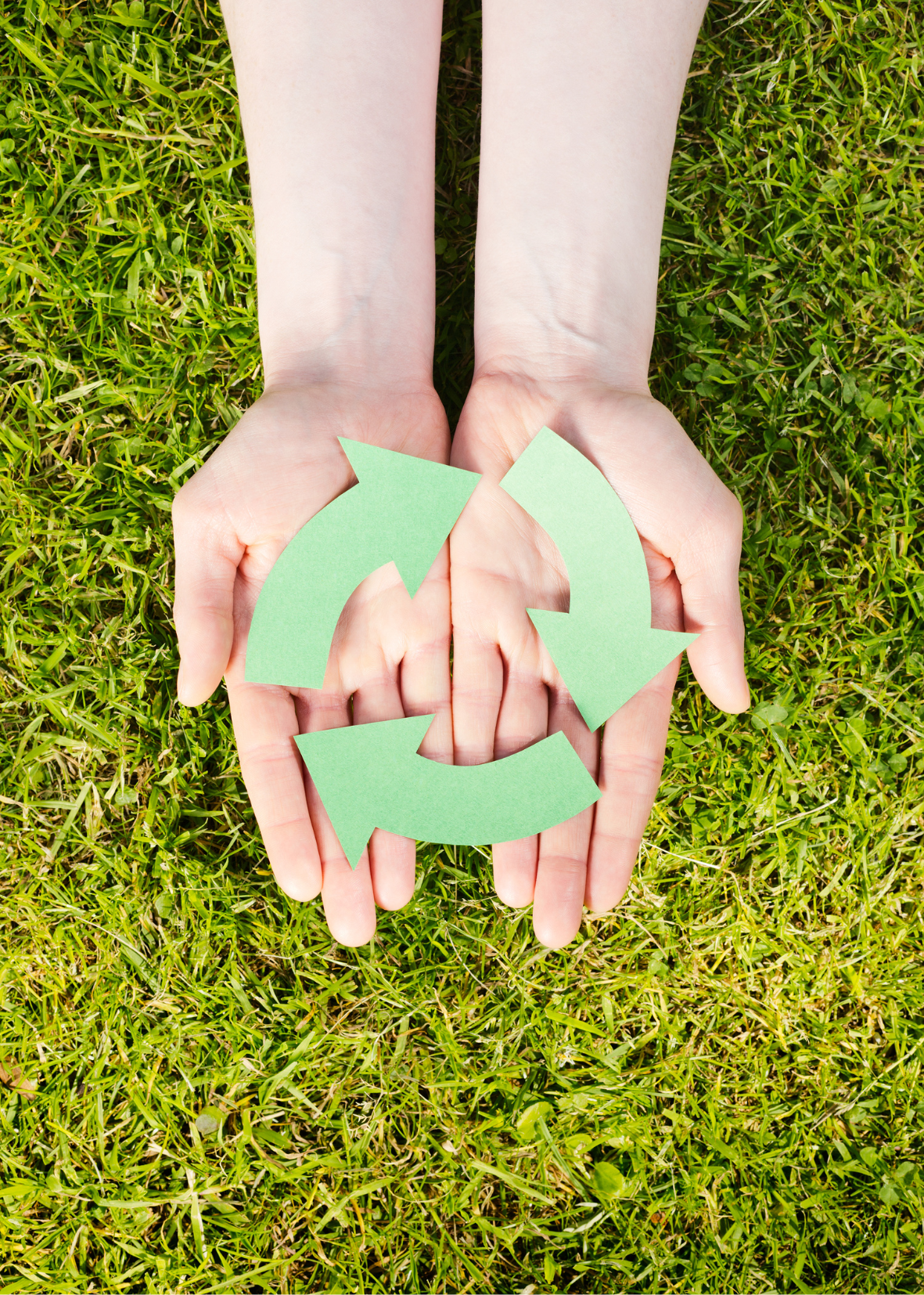 Rabais en ligne sur le biobroyeur Agrinova