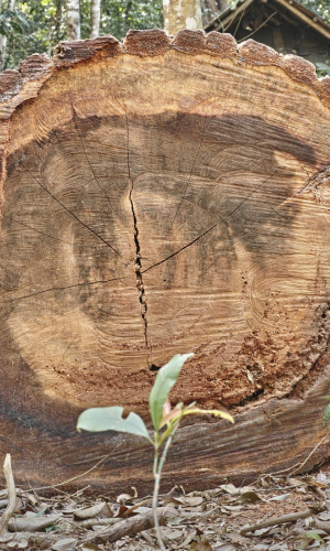 spaccalegna orizzontale per trattore balfor carica automatica
