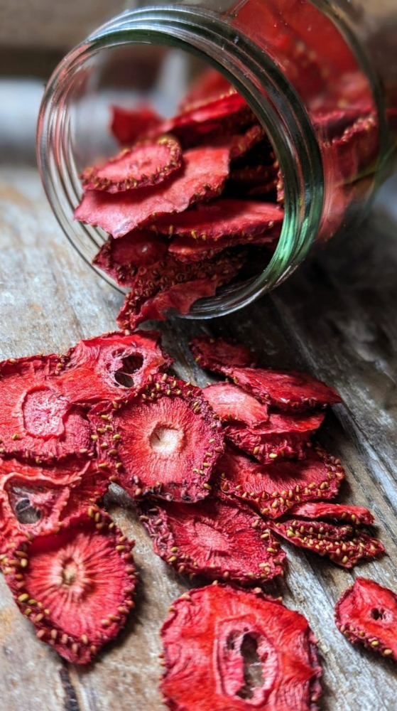 essiccatore tauro frutta essiccata con essiccatore