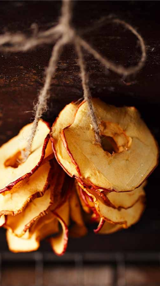 Dehidrator Biosec, linia Deluxe, uscătoare Tauro