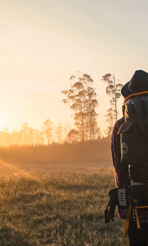 kit campeggio cartuccia più fornello in acciaio e antivento blocco bombola