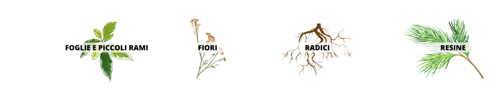 distiller extractor for essences and essential oils