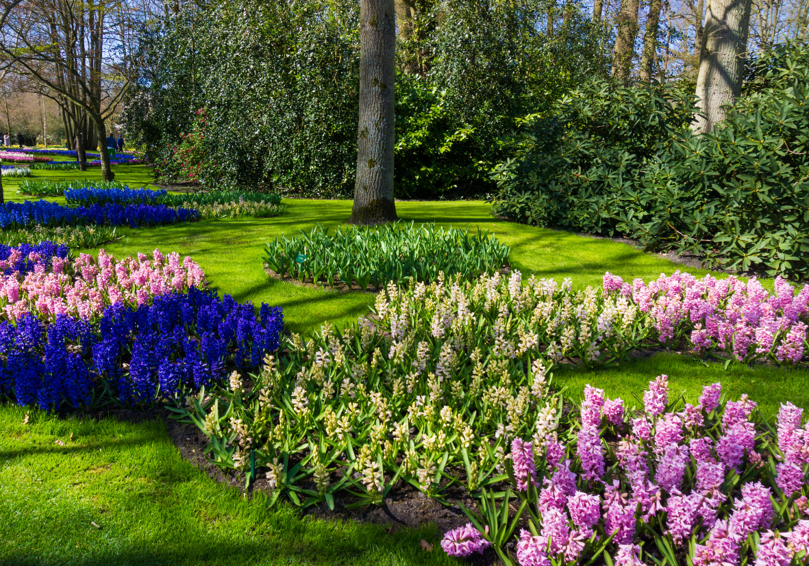 jardin parfait comment en faire un aérateur