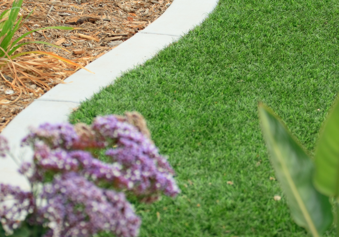 parterres de fleurs sans mauvaises herbes aérateur agritechstore