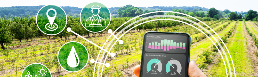 blog intelligenza artificiale in agricoltura