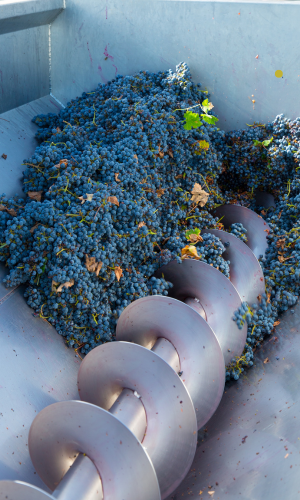 electric crusher-destemmer - crushes and destemmers grapes, rasps