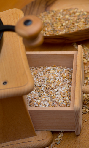 grain mill - Salzburg mill