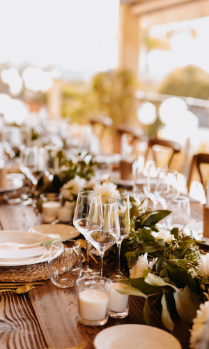 fungo riscaldante pegaso - funghi riscaldanti per esterni 