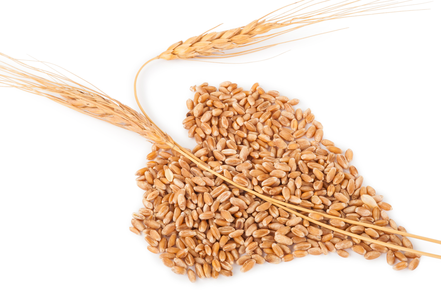 Su agritechstore i migliori mulini Milla