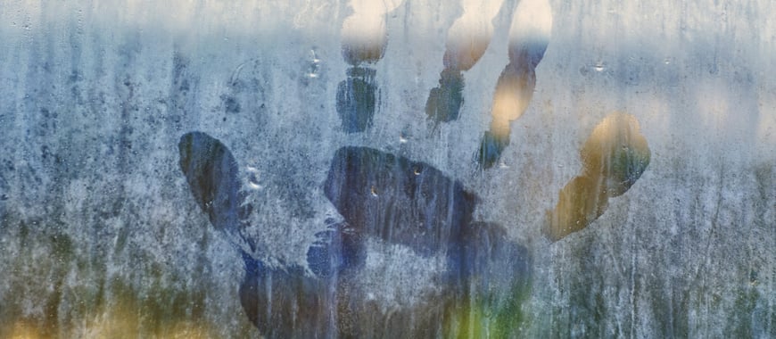 Agritechstore, milioni di prodotti on line agricoltura, tempo libero, casa... prezzi shock