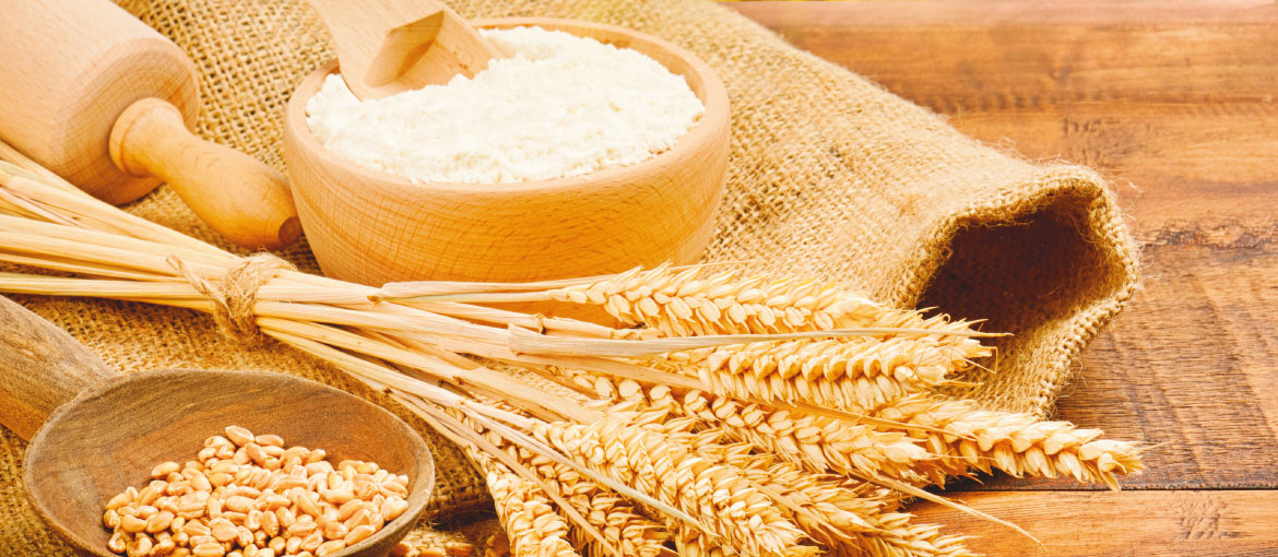 Macina cereali Milla su agritechstore 