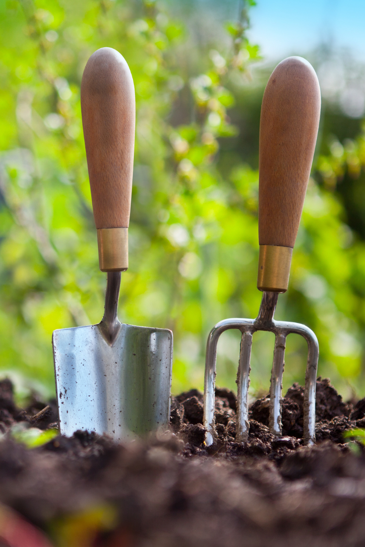 wooden garden shed for tools