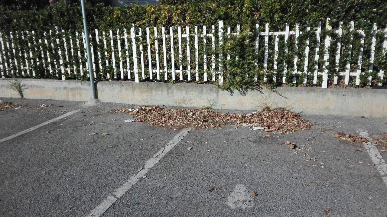 Spazzatrice su agritechstore alta qualità