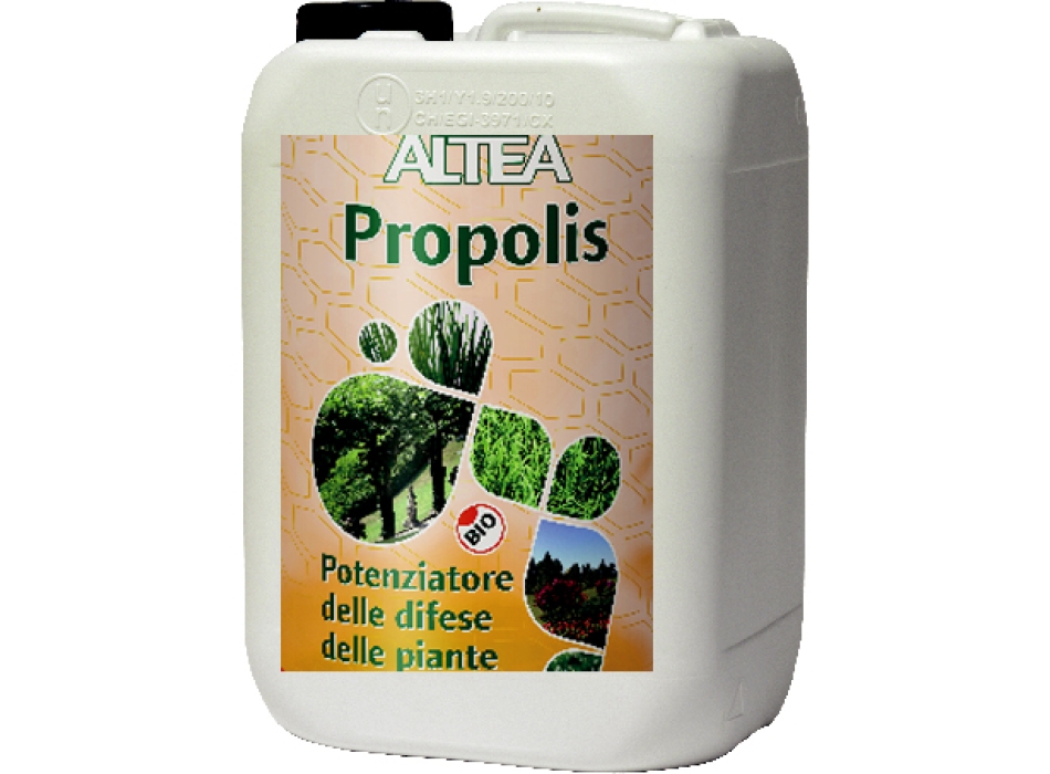PROPOLIS - Fitostimolante naturale, Tanica da Litri 5 Agritech Store