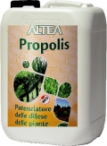 PROPOLIS - Fitostimolante naturale, Tanica da Litri 5