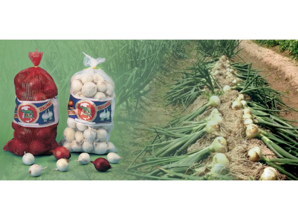 Sacco in piattina cm. 30x57 Portata Kg. 5 Agritech Store