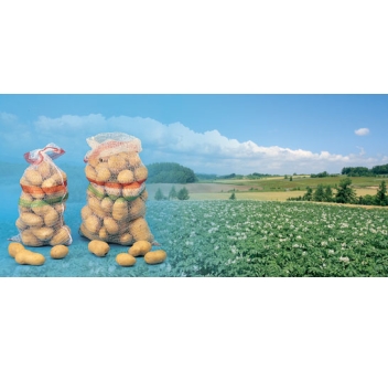 Sacco in Raschel cm. 31x47 Portata Kg. 5 Agritech Store