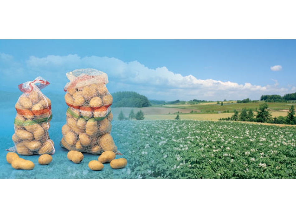 Sacco in Raschel senza fascia cm. 52x78 Portata Kg. 25 Agritech Store