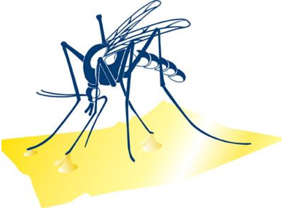 Carta collante per Zanzariera RZ50 Agritech Store