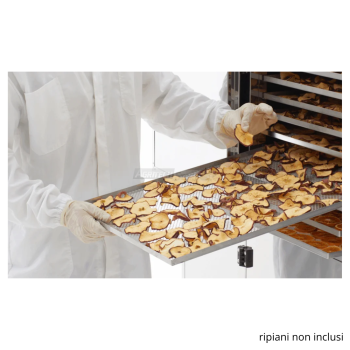B.Master BASE – Essiccatore Professionale 14 m² per Frutta, Verdura ed Erbe Aromatiche Agritech Store