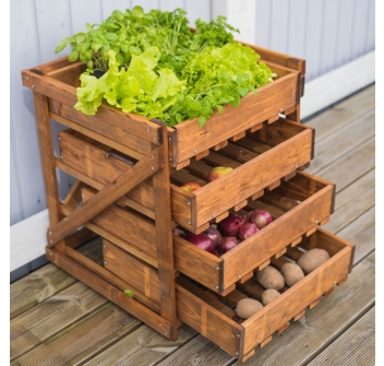 CASSETTIERA ORTO Agritech Store