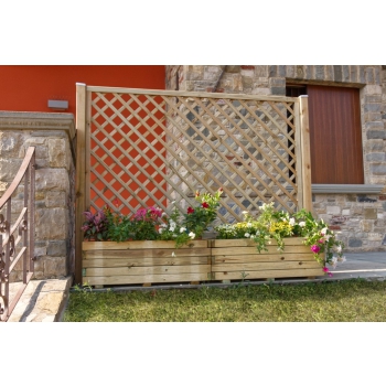 COPOSIZIONE DALIA Agritech Store