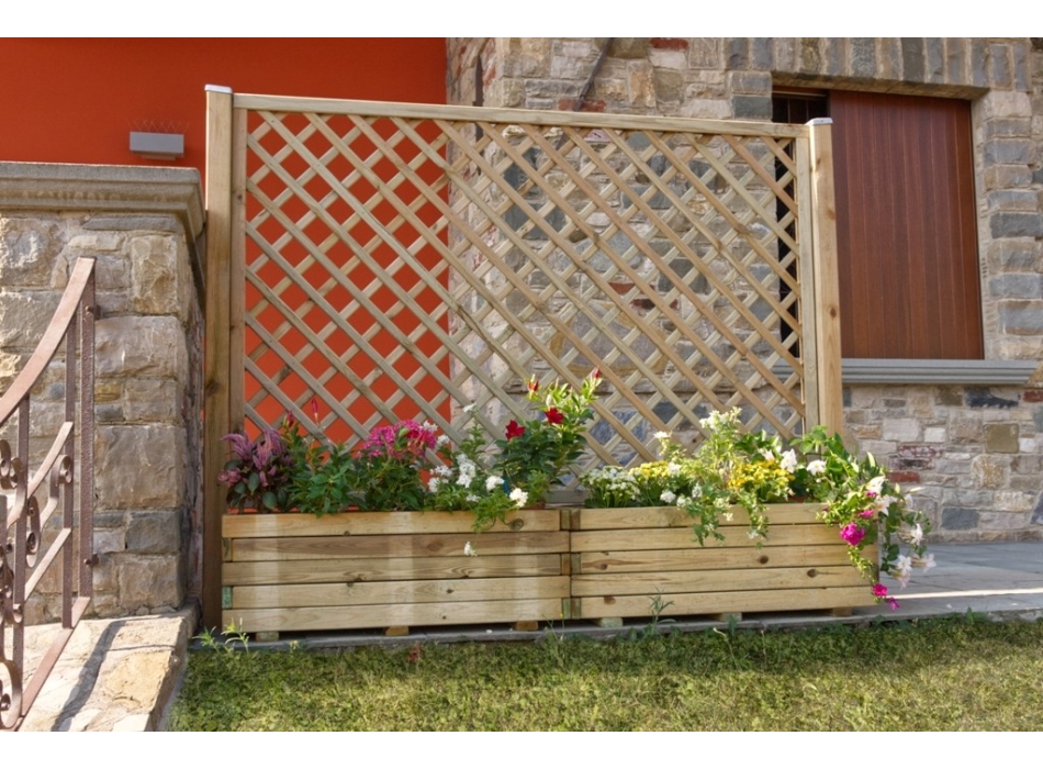 COPOSIZIONE DALIA Agritech Store