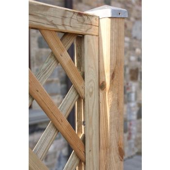 COPOSIZIONE DALIA Agritech Store