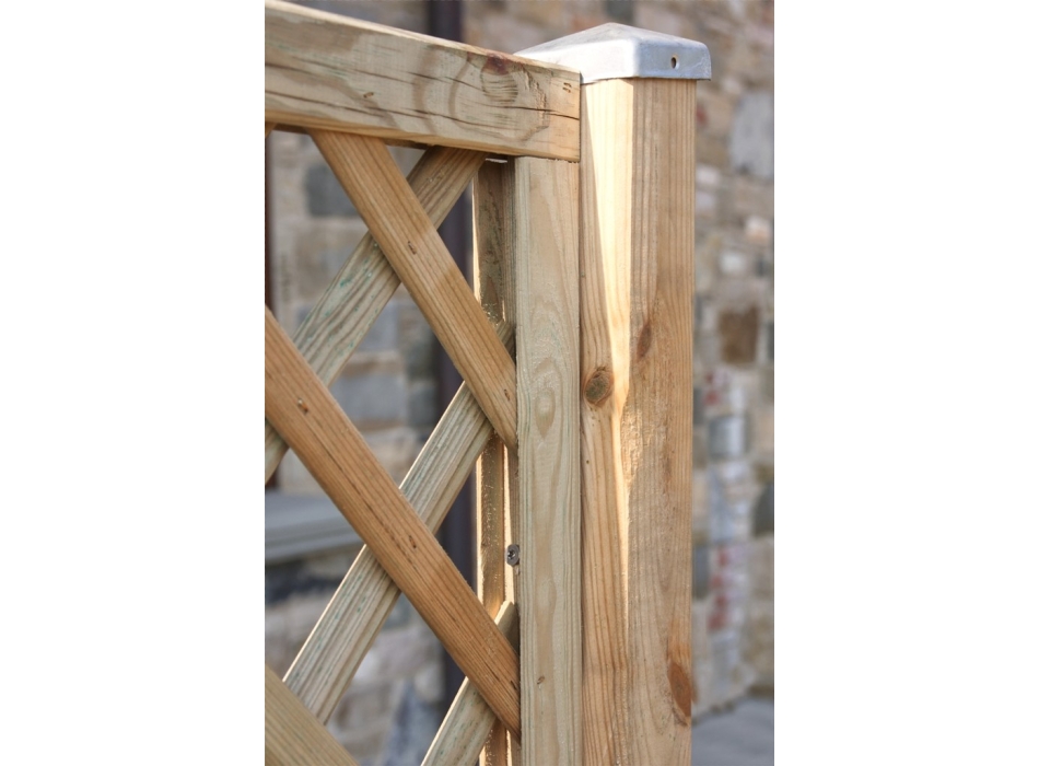 COPOSIZIONE DALIA Agritech Store