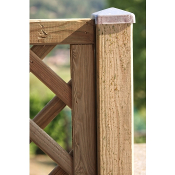 COPOSIZIONE DALIA Agritech Store