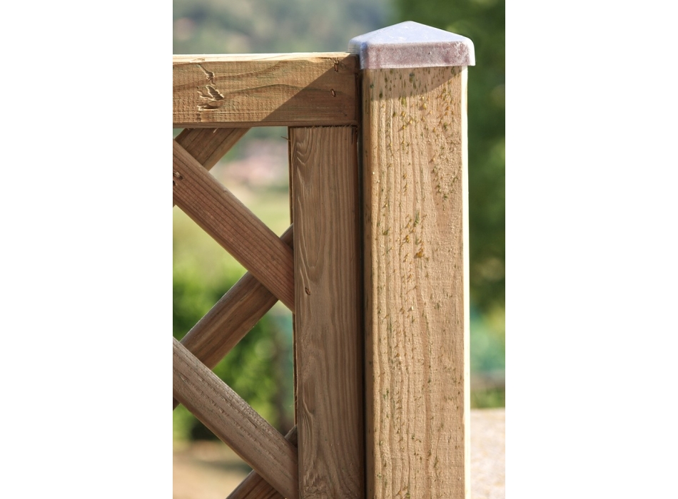 COPOSIZIONE DALIA Agritech Store