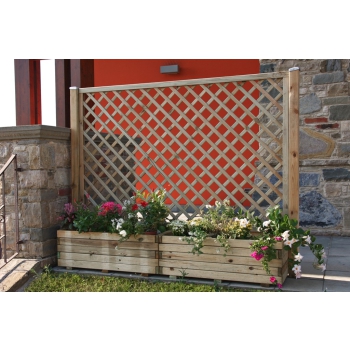 COPOSIZIONE DALIA Agritech Store