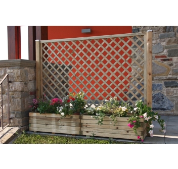 COPOSIZIONE DALIA Agritech Store