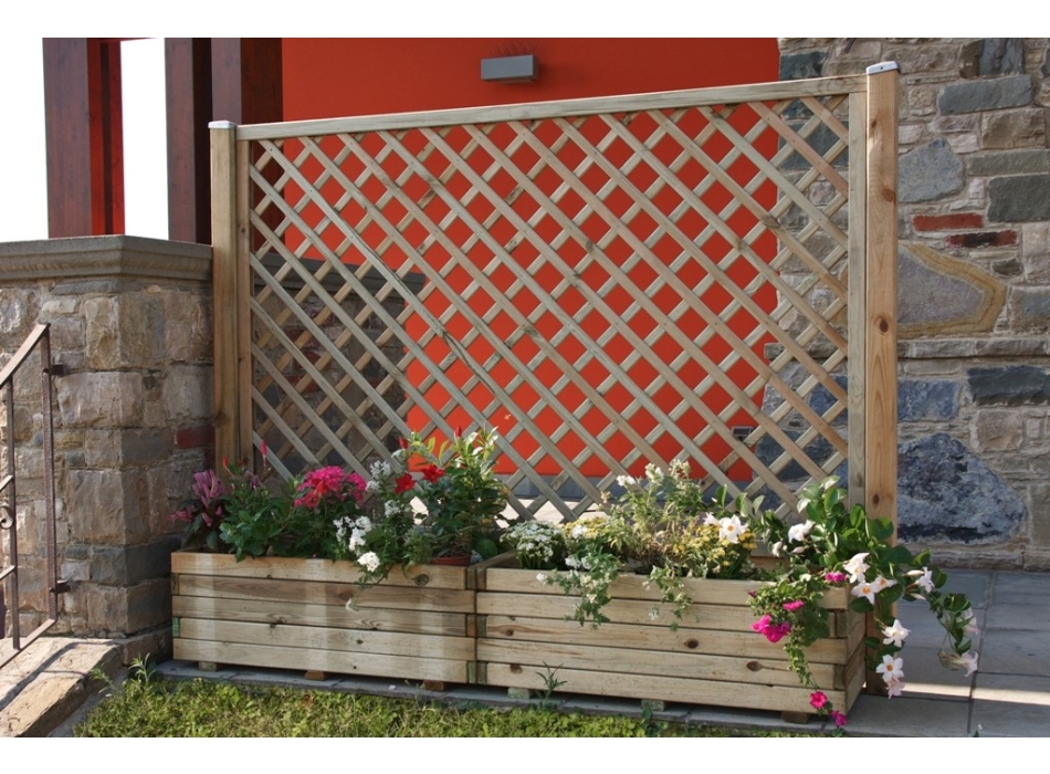 COPOSIZIONE DALIA Agritech Store