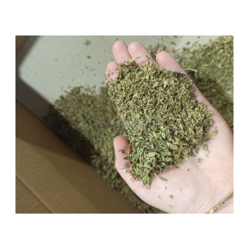 Defogliatrice sgranatrice mod. GT Gold Xs Agritech Store