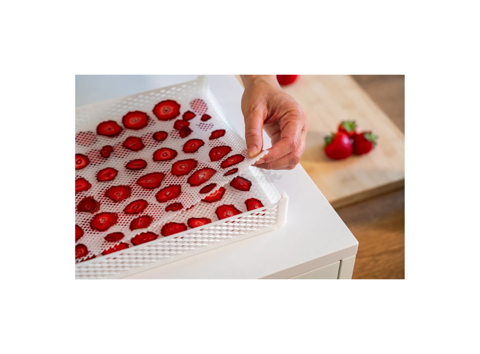 DrySilk Net – Retine Antiaderenti per Essiccatori Domestici Tauro Agritech Store