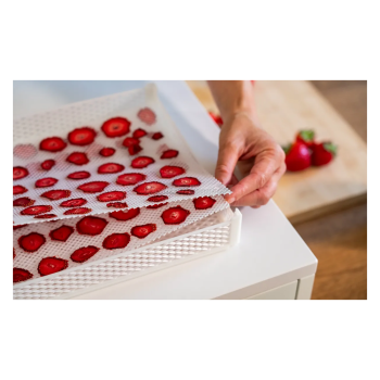 DrySilk Net – Retine Antiaderenti per Essiccatori Domestici Tauro Agritech Store