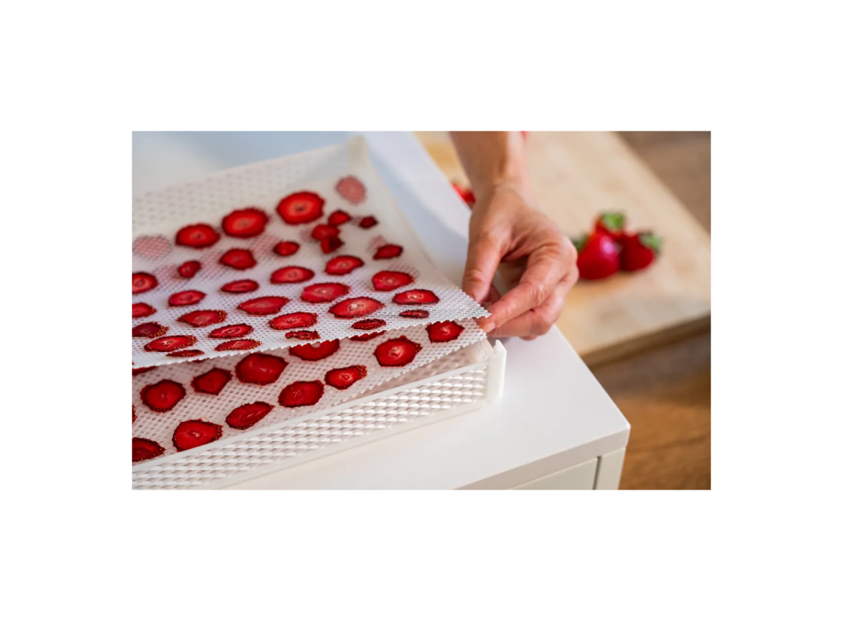 DrySilk Net – Retine Antiaderenti per Essiccatori Domestici Tauro Agritech Store