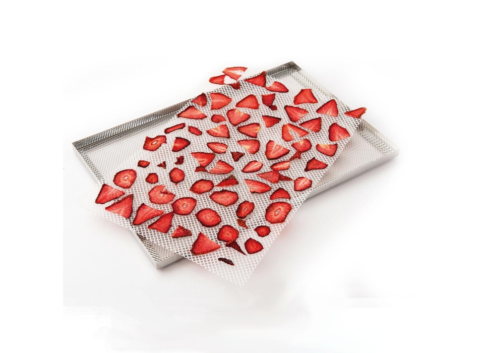 DrySilknet per l’essiccazione di prodotti piccoli e appiccicosi Agritech Store