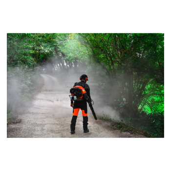 Echo PB-580 - Soffiatore a scoppio a zaino con motore a due tempi Agritech Store