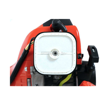 Echo SRM-301TESL - Decespugliatore a scoppio Agritech Store