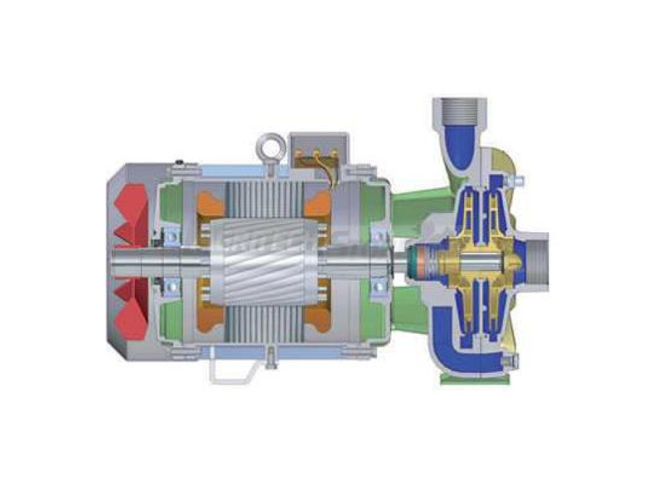 Elettropompa Centrifuga BIGIRANTE Wortex Agritech Store