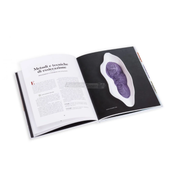 Essiccare: Tecniche e Ricette – Libro per Essiccatori Domestici Agritech Store