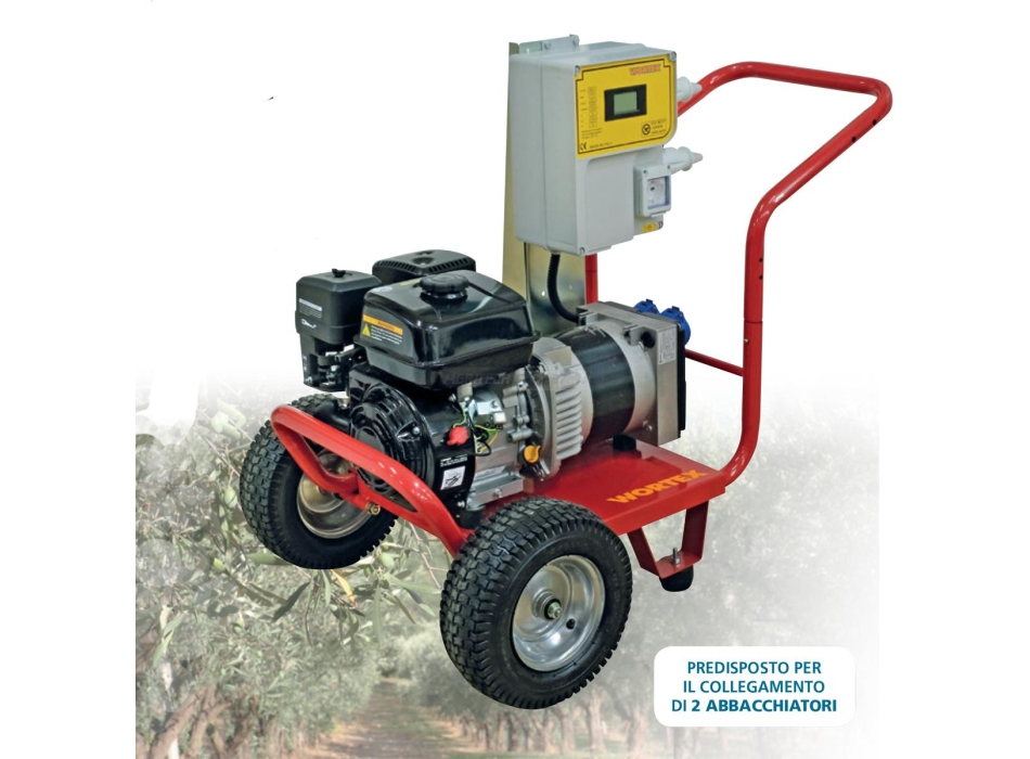 Generatore LWS 4000 C/QUADRO 12V - 60A Agritech Store