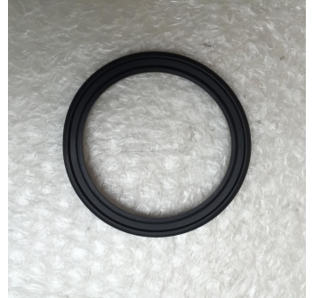 Guarnizione Imbuto Inox Spremipomodoro Reber N5 Agritech Store