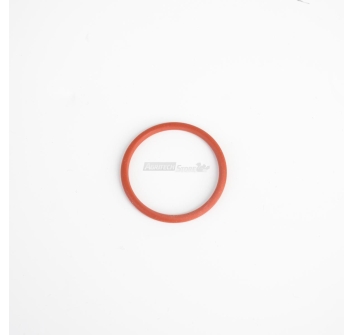 Guarnizione OR Perno N5 Spremipomodoro Elettrico Agritech Store