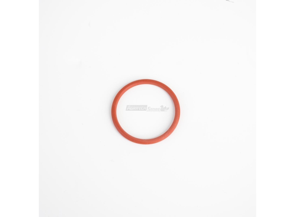 Guarnizione OR Perno N5 Spremipomodoro Elettrico Agritech Store