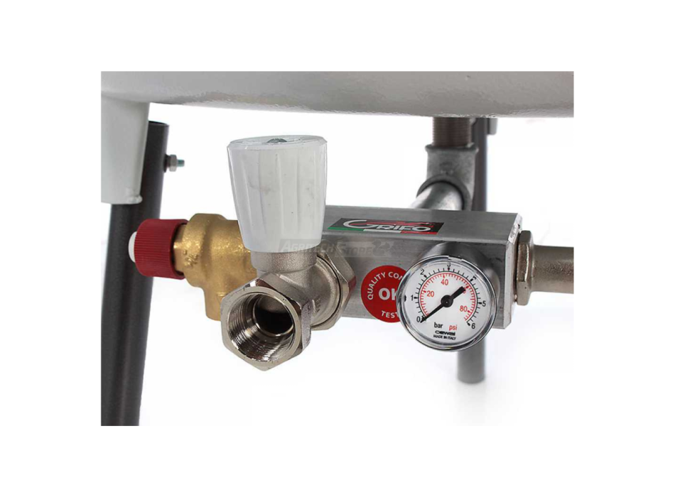 Idropressa per frutta ed uva - 3 capacità Agritech Store