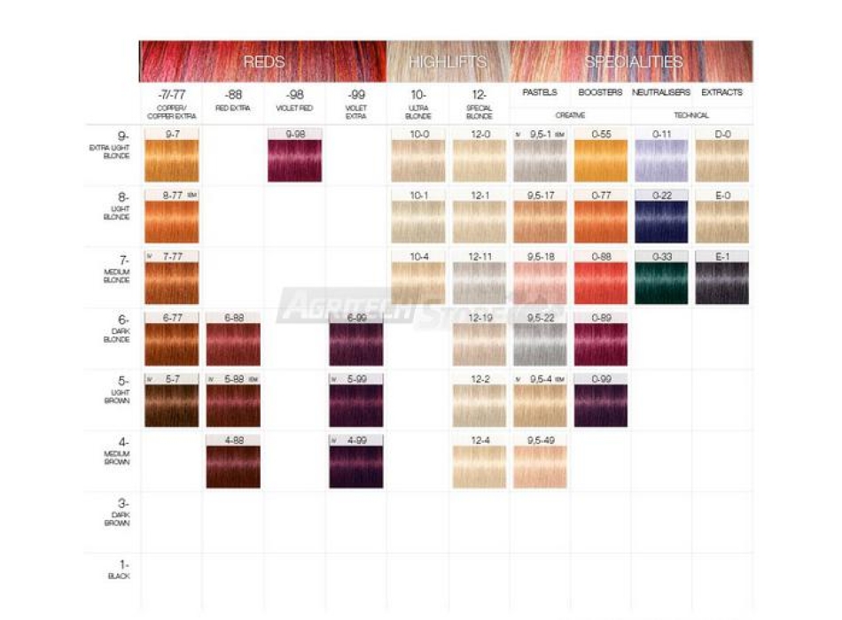 Igora Royal Schwarzkopf - Colorazione permanente - 60ml Agritech Store