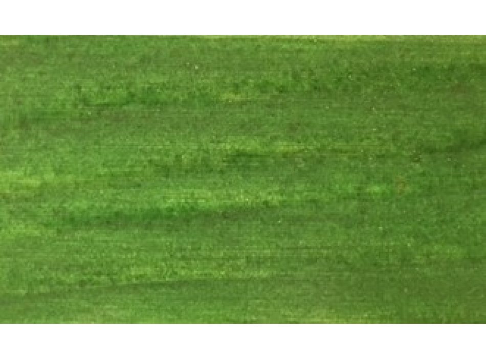 IMPREGNANTE VERDE Agritech Store